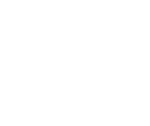 SaveMarSoftLogo